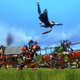 Illustration for article titled Blood Bowl Cheerleader Battle: Wood Elves Versus Chaos